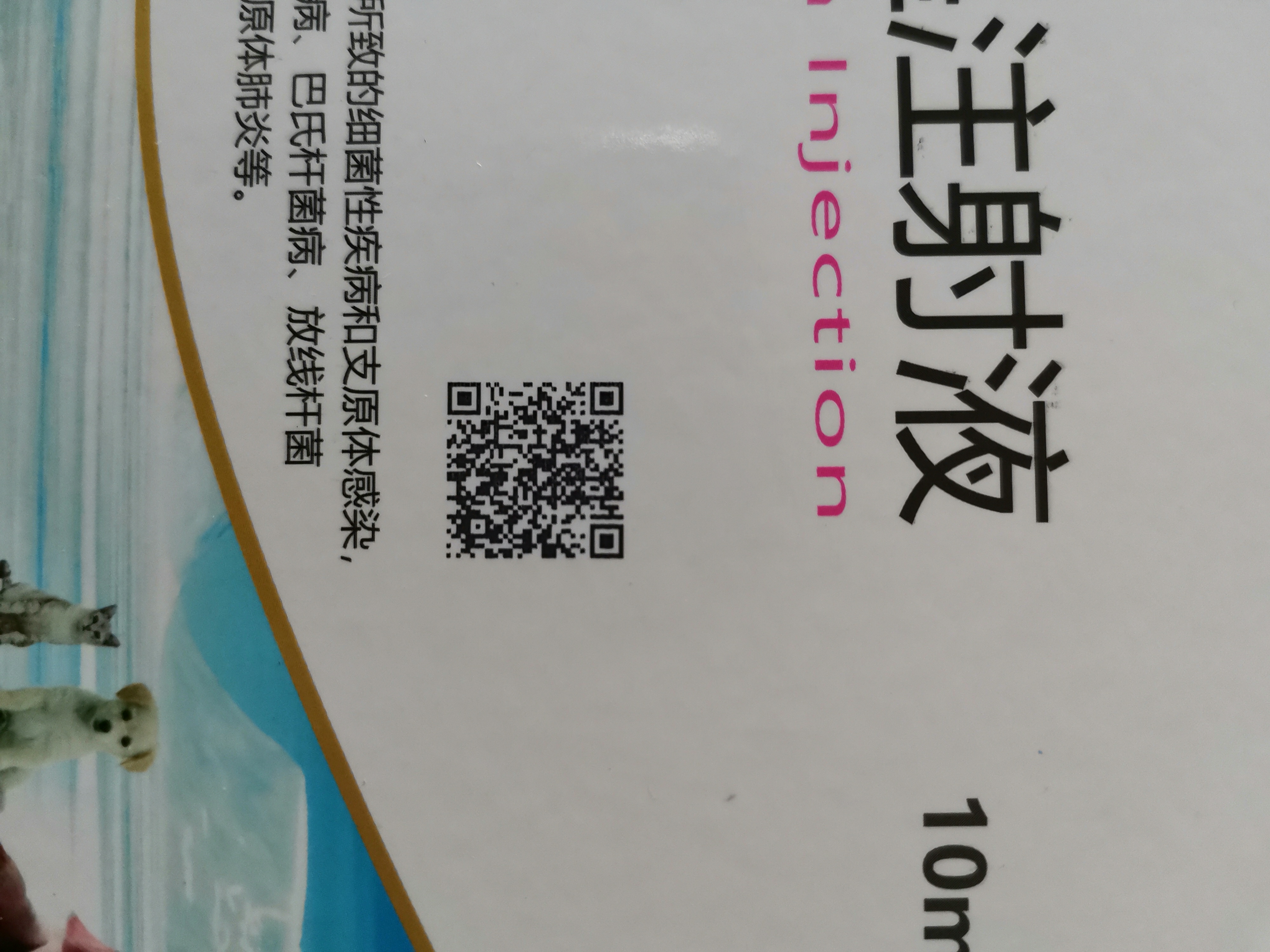 熱發(fā)泡噴碼機-DP